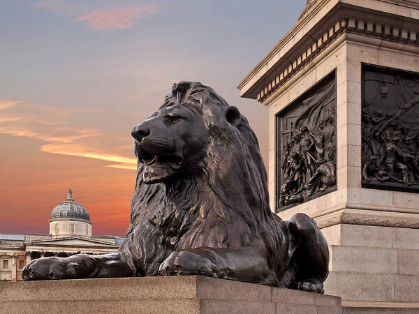 London Poster featuring the photograph Trafalgar Square Lion Nelsons Column And National Gallery by Gill Billington