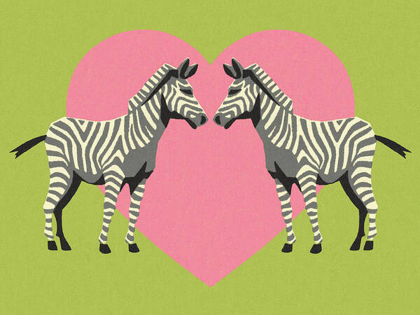 Affection Poster featuring the drawing Two Zebras Over a Pink Heart by CSA Images