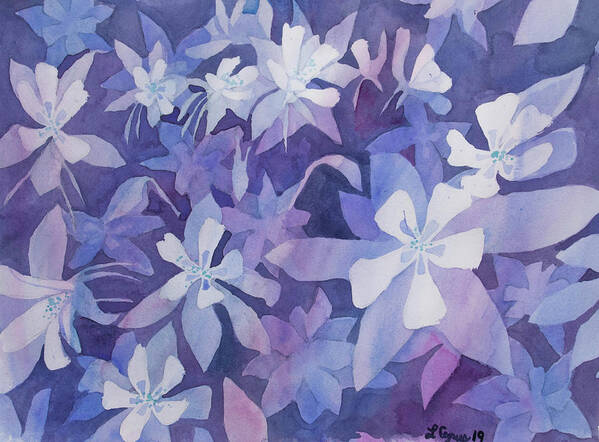 Blue Columbine Poster featuring the painting Watercolor - Blue Columbine Design by Cascade Colors