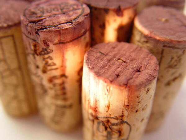 Wine Cork Poster featuring the photograph Wine Corks Serie Of 28 Images by Luso