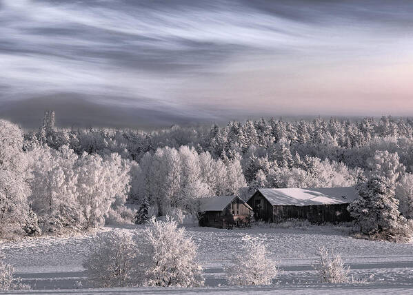Winter Poster featuring the photograph Winter Morning by Bjorn Emanuelson