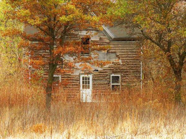 House Poster featuring the photograph Yesterday by Lori Frisch