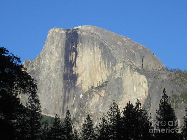 Yosemite Poster featuring the photograph Yosemite National Park Half Dome Rock by John Shiron