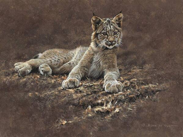 Paintings Poster featuring the painting Young Bobcat by Alan M Hunt by Alan M Hunt