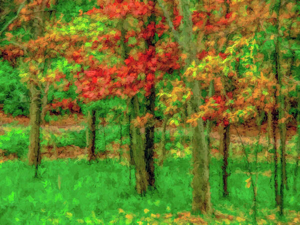 Fall Colors Poster featuring the photograph A Walk In The Park #1 by Kevin Lane