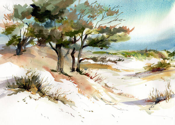 Cape Dunes Poster featuring the painting Cape Dunes #1 by P Anthony Visco