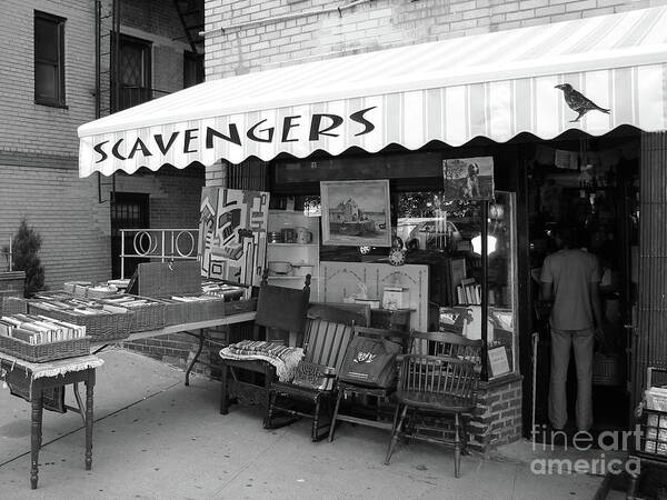 Scavengers Poster featuring the photograph Scavengers #1 by Cole Thompson