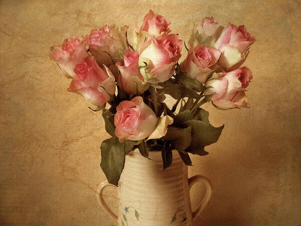 Roses Poster featuring the photograph Soft Spoken #1 by Jessica Jenney