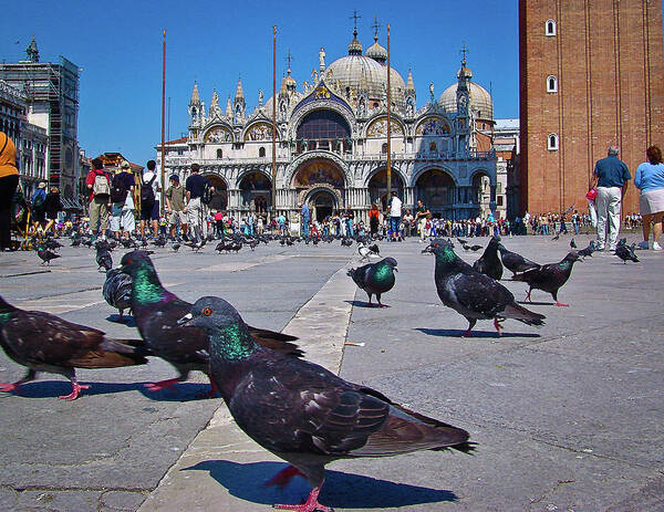 St. Mark's Square Venice Italy Poster featuring the photograph St. Mark's Square - Venice, Italy #2 by David Morehead