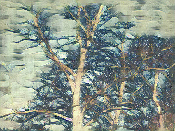 Sky Poster featuring the mixed media Winter Branches #2 by Christopher Reed