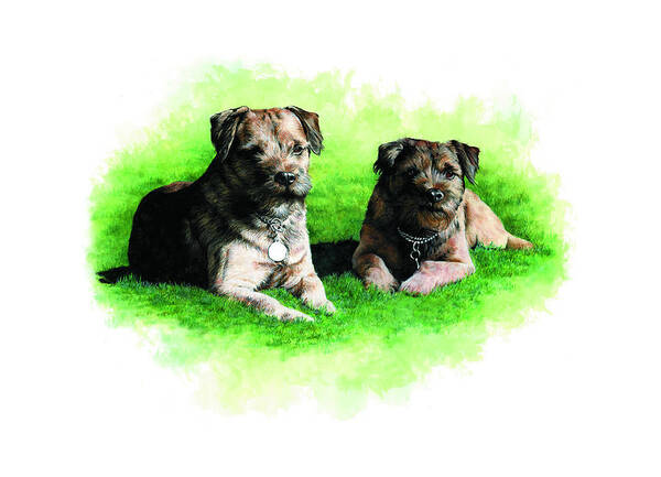 Commissioned Watercolour Art By Patrice Poster featuring the painting Two Loved Border Terriers by Patrice Clarkson