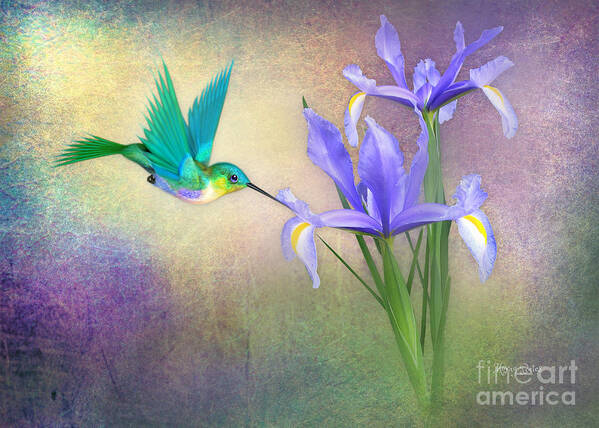 Iris Poster featuring the digital art Hummingbird on Iris #2 by Morag Bates