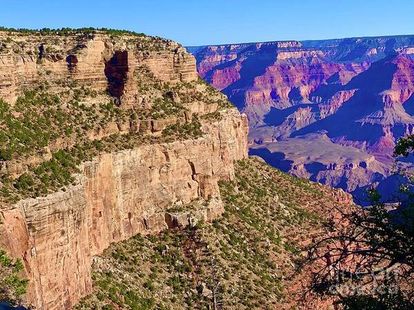 The Grand Canyon Poster featuring the digital art The Grand Canyon #2 by Tammy Keyes