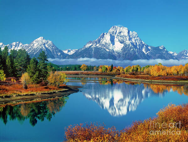 Dave Welling Poster featuring the photograph Fall Oxbow Bend Grand Tetons National Park Wyoming #3 by Dave Welling