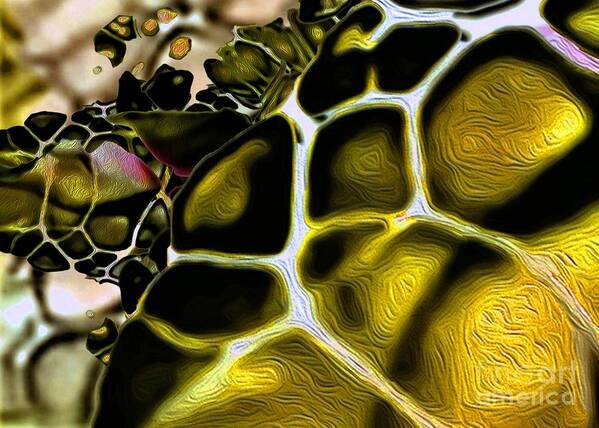 Sea Creatures Poster featuring the digital art Golden Turtle 3 by Aldane Wynter