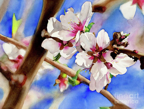 Roseville Artist Poster featuring the painting #543 Almond Blossoms #543 by William Lum