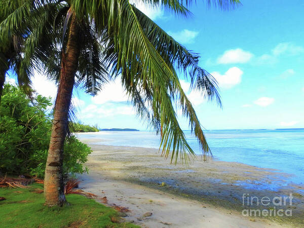 Tropical Beach Poster featuring the photograph A Tropical Beach by Scott Cameron