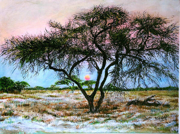 African Savanna Savannah Plain Acacia Tree Medicine Prehistoric Tree Of Life Sunset Poster featuring the painting African Acacia Tree by John Bohn