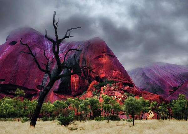 Raw And Untouched Northern Territory Series By Lexa Harpell Poster featuring the photograph After the Rain - Uluru, Central Australia by Lexa Harpell