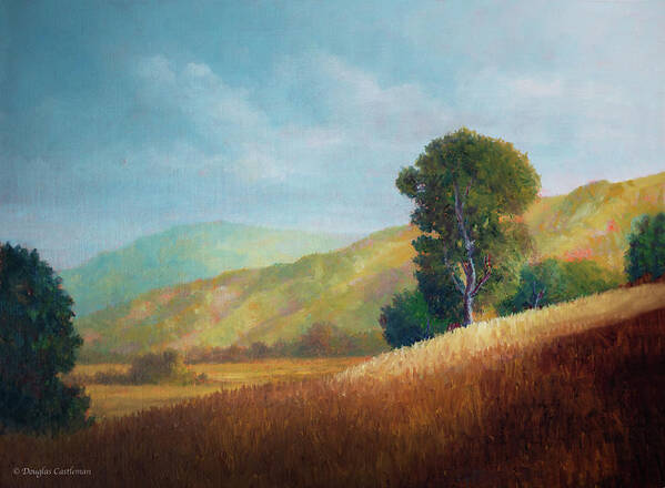 Oil Painting Poster featuring the painting Afternoon Light by Douglas Castleman