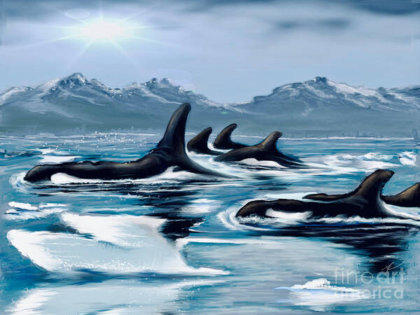 Orca Poster featuring the digital art Alaska Orcas by Darren Cannell