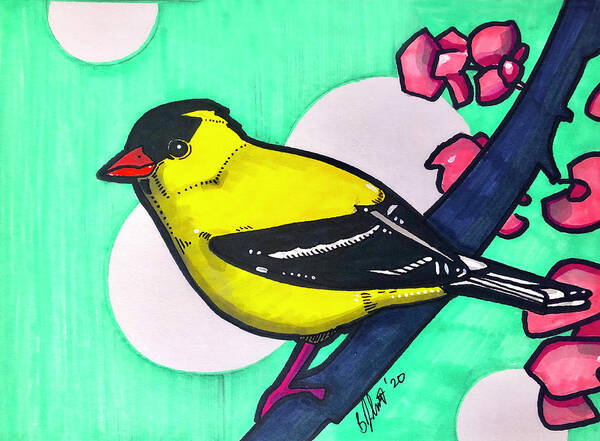 American Gold Finch Poster featuring the drawing American Gold Finch by Creative Spirit