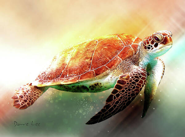 Andaman Sea Turtle Poster featuring the digital art Andaman Sea Turtle by Dave Lee