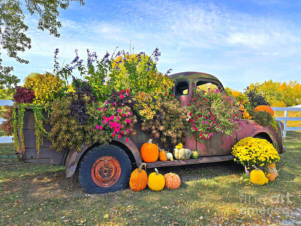 Antique Dodge Truck With Fall Arrangement Poster featuring the photograph Antique Dodge Truck With Fall Arrangement by Kathy M Krause