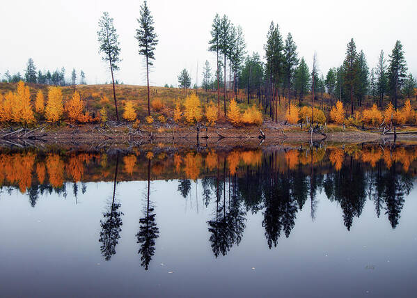 Landscape Poster featuring the photograph Autumn Color Reflection by Allan Van Gasbeck