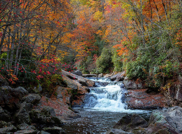 Cullasaja River Poster featuring the photograph Autumn Rainbow On Cullasaja Falls by Dan Sproul