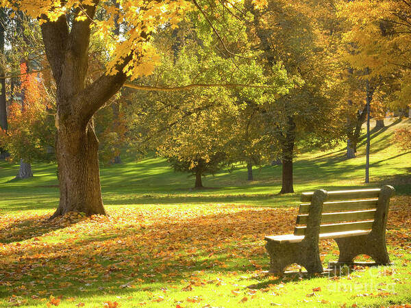 Washington Poster featuring the photograph Autumn Seating by Idaho Scenic Images Linda Lantzy