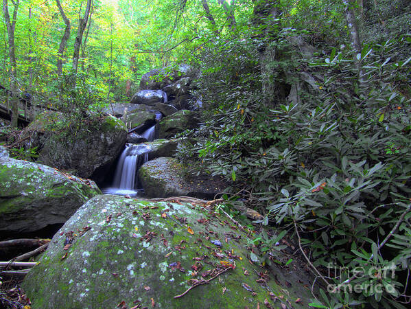 South Mountain State Park Poster featuring the photograph Autumn - Serenity At A Cascading Waterfall by Amy Dundon