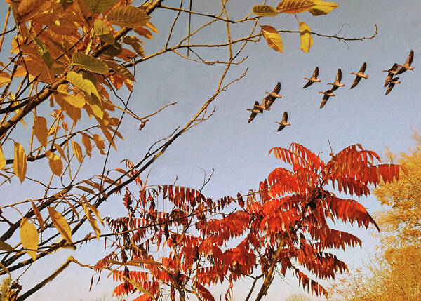 Autumn Sky Poster featuring the mixed media Autumn Sky by Alex Mir