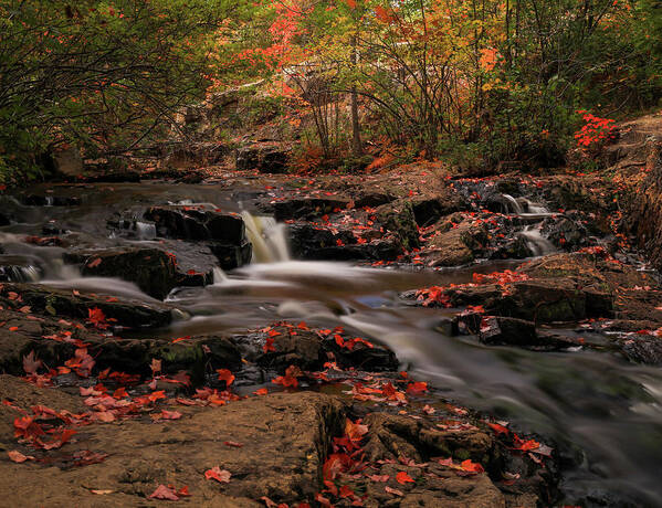 Beautiful Autumn Cascades Poster featuring the photograph Beautiful Autumn Cascades by Dan Sproul
