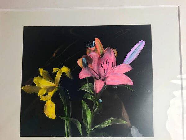 Flowers Poster featuring the photograph Beauty Lillies by Jean Wolfrum
