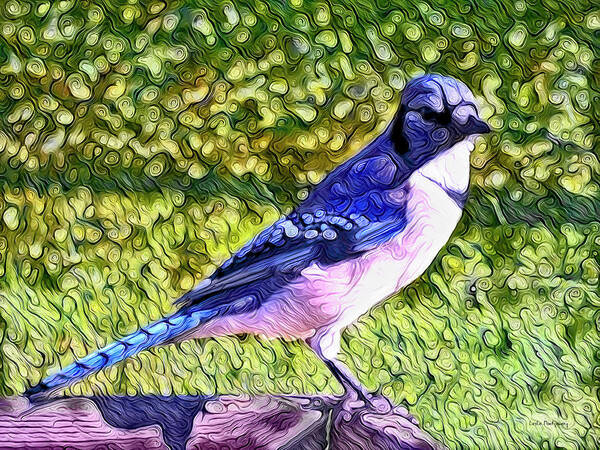 Blue Jay Poster featuring the photograph Blue Jay Posing Pretty by Leslie Montgomery