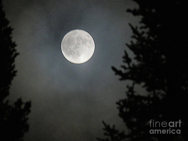 Canada Poster featuring the photograph Blue Moon by Mary Mikawoz