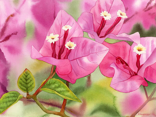 Bougainvillea Poster featuring the painting Bougainvillea by Espero Art