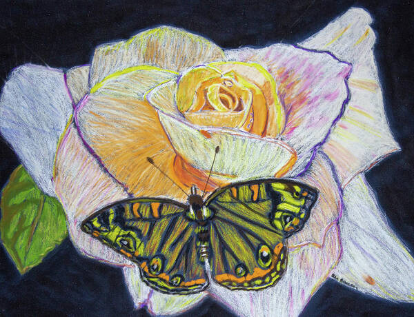 Butterfly Poster featuring the drawing Butterfly on a Rose by Ali Baucom