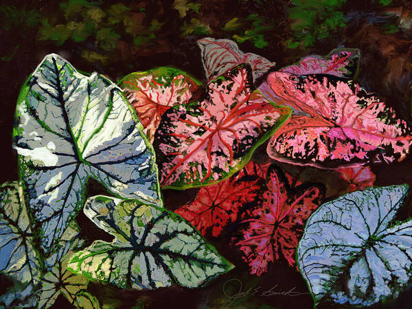 Caladiums Poster featuring the painting Caladium Cluster by Joel Smith