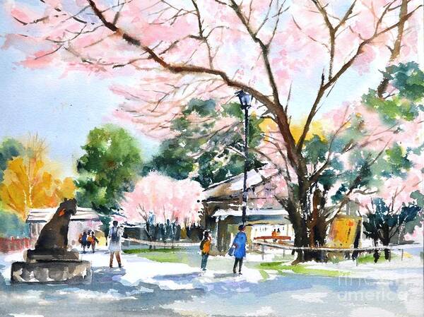 Cherry Blossoms Poster featuring the painting Cherry blossoms by Betty M M Wong