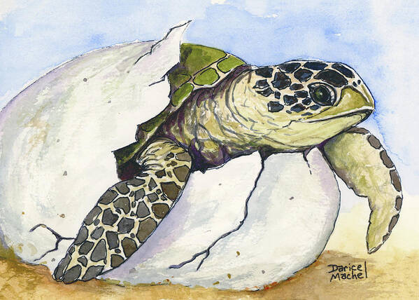 Honu Poster featuring the painting Coming Out Of Her Shell by Darice Machel McGuire