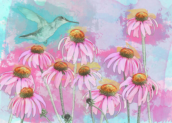 Hummingbird Poster featuring the photograph Coneflower Hummingbird Watercolor by Patti Deters