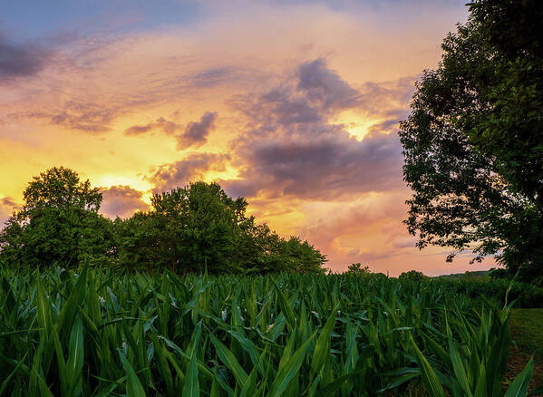 Sunset Poster featuring the photograph Country Sunset by Jason Fink