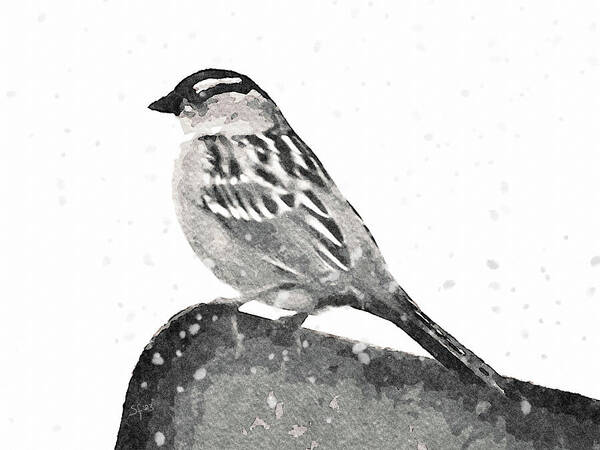 Bird Poster featuring the mixed media Crested Sparrow in the Snow-Bird Painting by Shelli Fitzpatrick