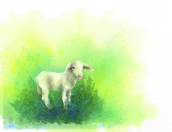 Lamb Poster featuring the painting Cute little lamb watercolor painting by Karen Kaspar