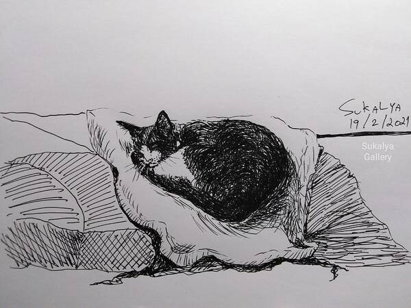 Cat Poster featuring the drawing Daily Routine by Sukalya Chearanantana