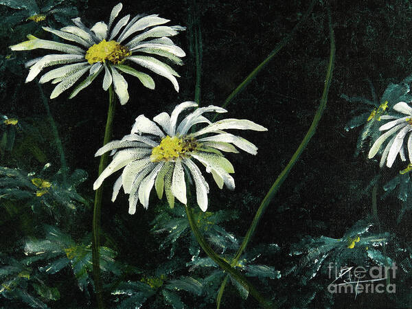 Flower Poster featuring the painting Dancing Daisies in the Moonlight by Zan Savage