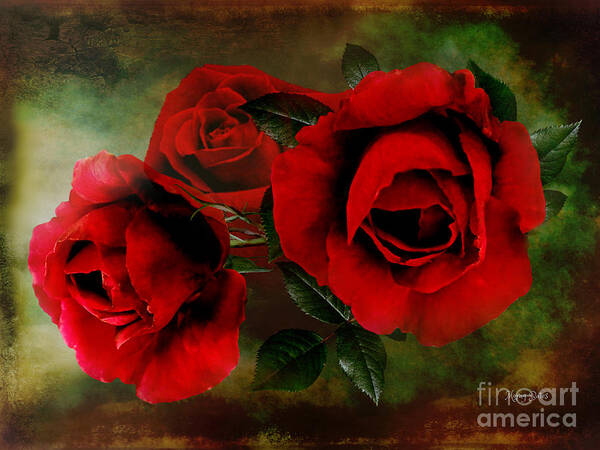 Red Roses Poster featuring the digital art Deep Red Rose Trio by Morag Bates