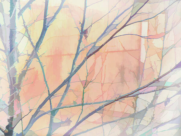 Photography Poster featuring the digital art Delicate Winter Limbs by Terry Davis